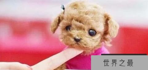 1586746391535383.png 1.png