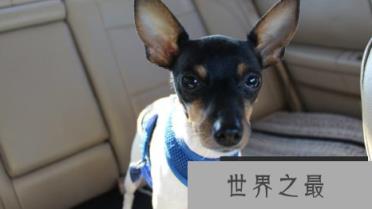 1586745620357710.png 微信截图_20200401111937.png