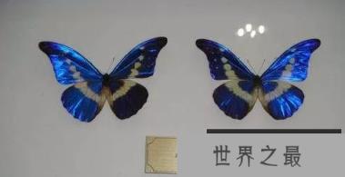 1586763525826922.png 1.png