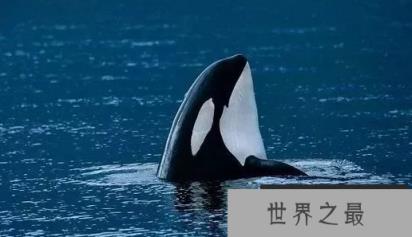 1586856559401808.png 1.png