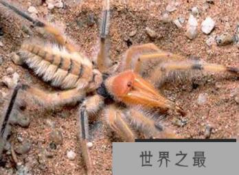 1586917469441706.png 微信截图_20200106102307.png