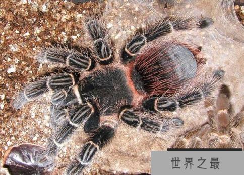 1586917482992504.png 微信截图_20200401111937.png