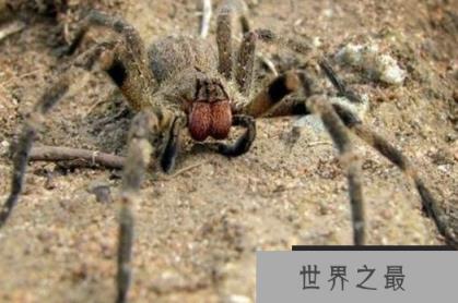 1586917487170006.png 1.png