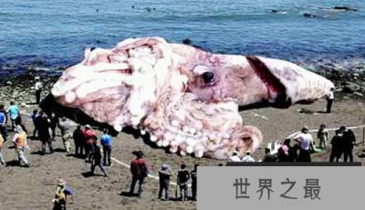 1586917794281637.png 1.png