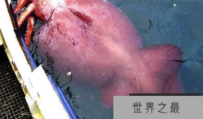 1586917799296154.png 微信截图_20200106102307.png