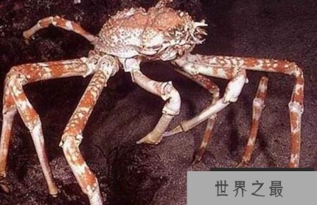 1586917943700684.png 1.png