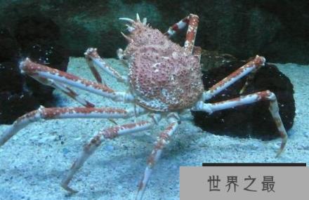 1586917948346106.png 微信截图_20200106102307.png