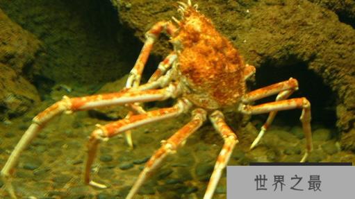 1586918544444462.png 微信截图_20200106102307.png