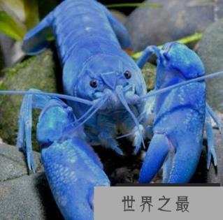 1586919315889010.png 微信截图_20200106102307.png