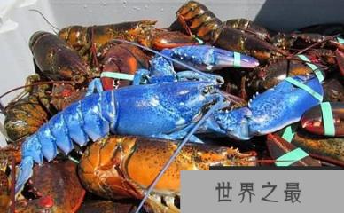 1586919321563816.png 1.png