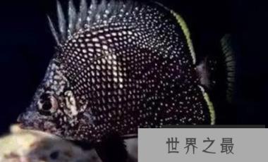 1587085856135401.png 微信截图_20200401111937.png