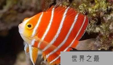 1587085862386755.png 微信截图_20200106102307.png