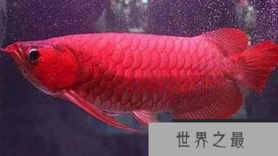 1587085867954007.png 1.png