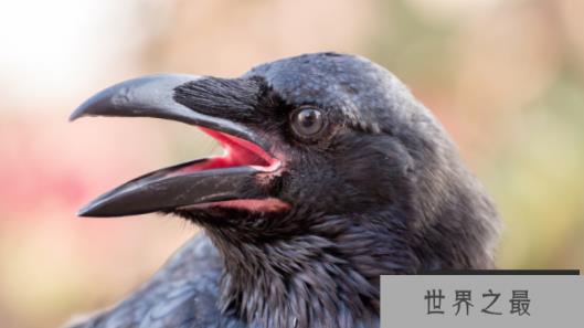 1585279843858329.png 1.png