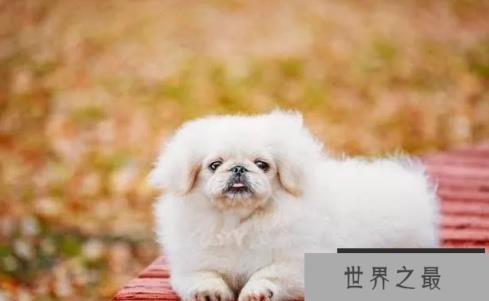 1585279983727682.png 1.png