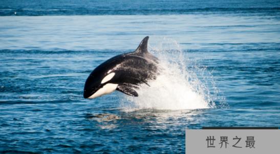 1585283941437680.png 1.png