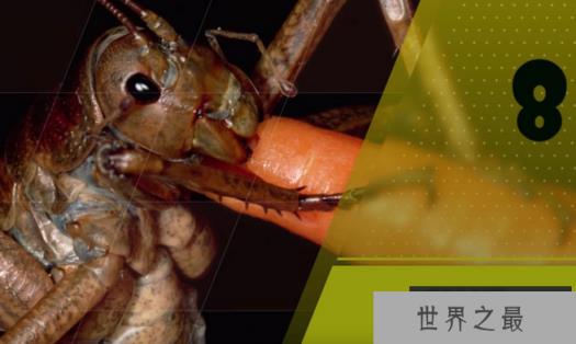 1585294372520185.png 1.png