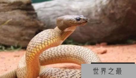 1585534469154678.png 1.png