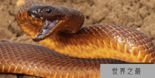 1585535079551090.png 1.png