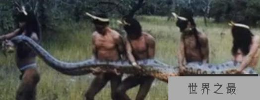 1585535175691297.png 1.png