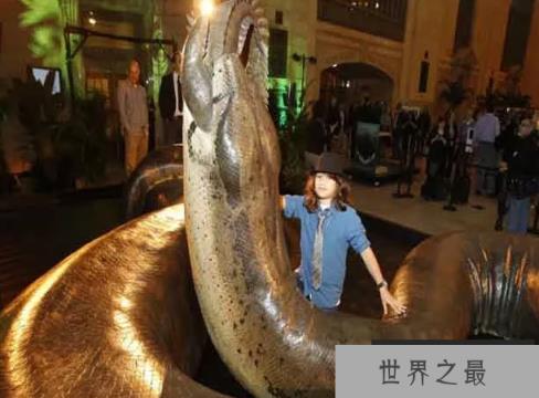 1585535535204824.png 1.png