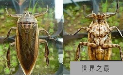 1585550713355604.png 1.png