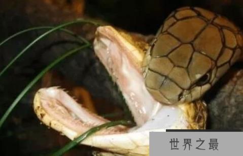 1585550790258122.png 1.png