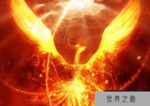 世界上最后一只凤凰