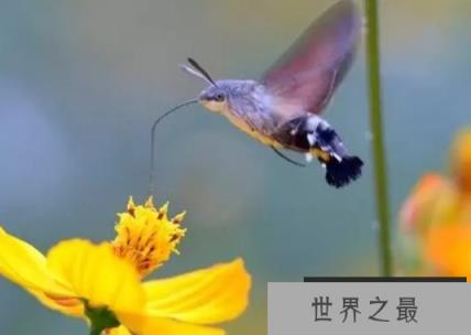 1585707634819257.png 1.png