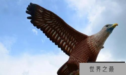 1585815403793081.png 1.png