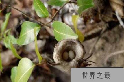 1585708442867706.png 1.png