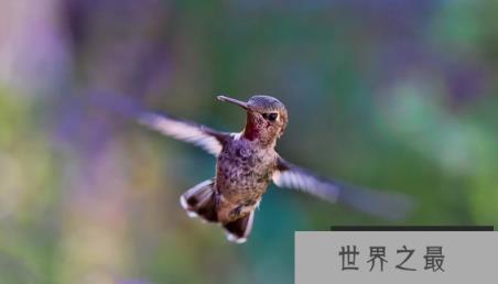 1585708854969573.png 1.png