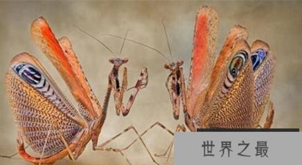 1582506583702272.png 2.16.PNG