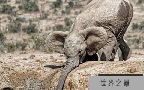 1582507498200208.png 2.16.PNG