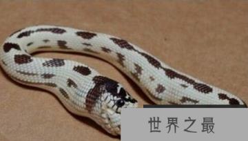 1582592453237832.png 2.16.PNG