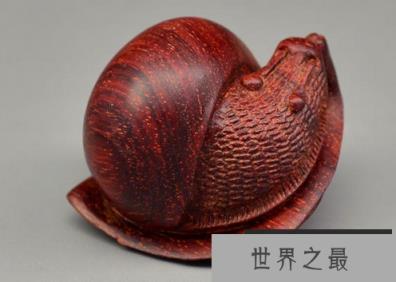 世界上最美丽的海螺壳形状是独一无二的