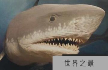 1582593035312824.png 2.16.PNG