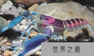 1582593338445760.png 2.16.PNG