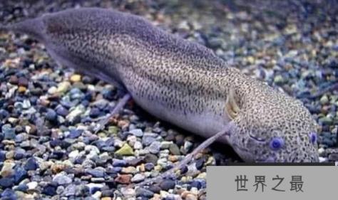 1582593547338511.png 2.16.PNG