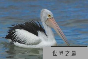 1582593623646176.png 2.16.PNG