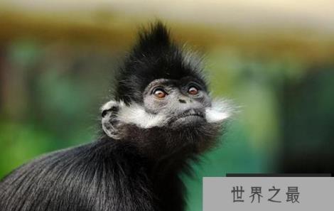 1582594381699197.png 2.16.PNG