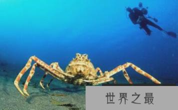 1582594637950859.png 2.16.PNG