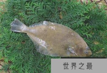 1582777063344188.png 2.16.PNG