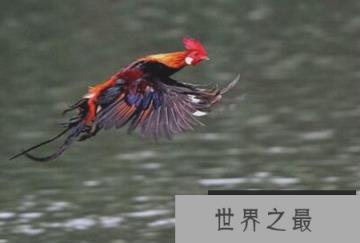 1582506252618061.png 2.16.PNG