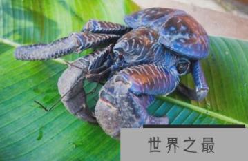 1582506341467156.png 2.16.PNG