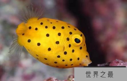 1581041306211612.png 微信截图_20200205094912.png