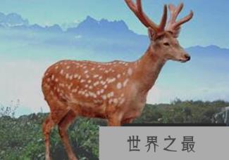 1581299713149520.png 微信截图_20200205094912.png