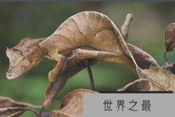 1581299562865724.png 微信截图_20200205094912.png