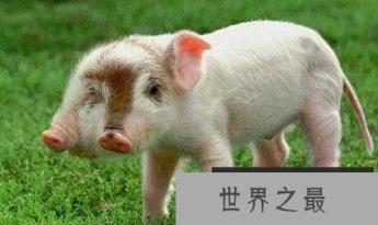 1581315976387629.png 微信截图_20200205094912.png