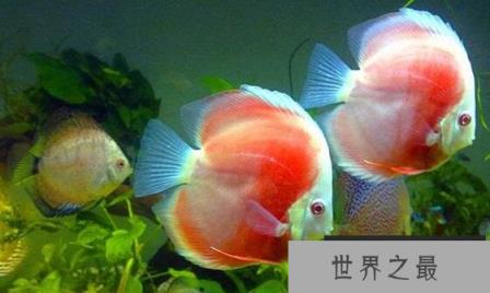 1582777716750601.png 2.16.PNG